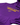Sydney Kings 26/27 Courtside Hoodie - Purple